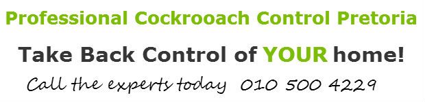 cockroach control pretoria